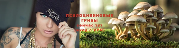 гидропоника Аркадак